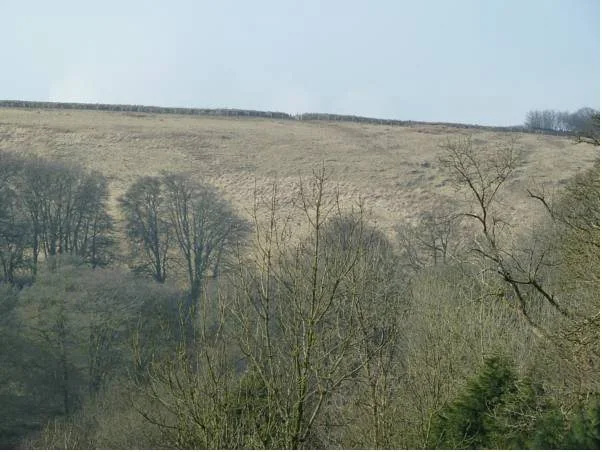 The Exmoor Forest Inn