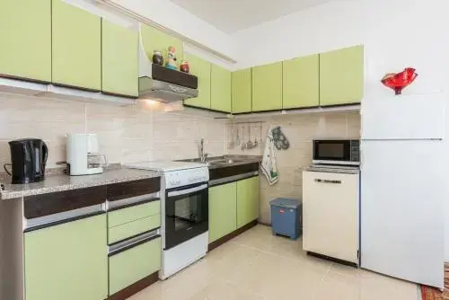 Apartment Vida