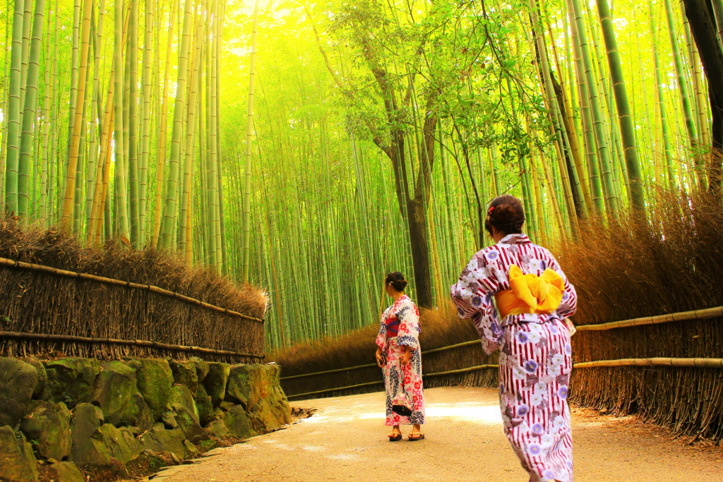 Stay SAKURA Kyoto Kiyomizu Gojo