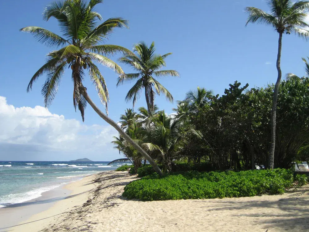 Palms Resort and Beach