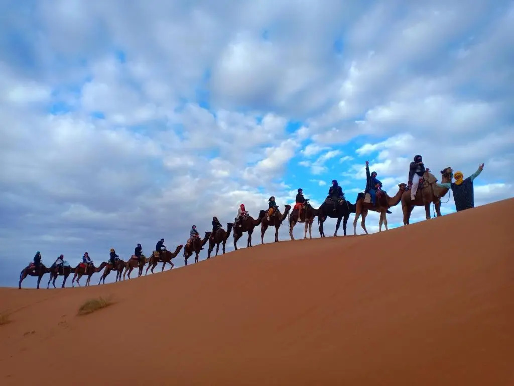 Desert Magic Camp