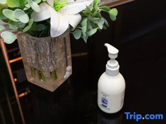 LAVANDE Hotel (Wuhan Jinyin Lake Subway Station Eurasia Exhibition Center Hotel)