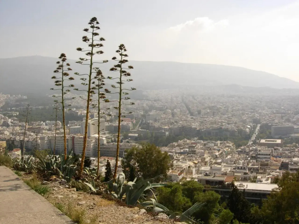 Hidesign Athens Luxury Apartments in Kolonaki