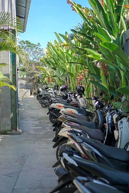 Tropical Canggu Hostel
