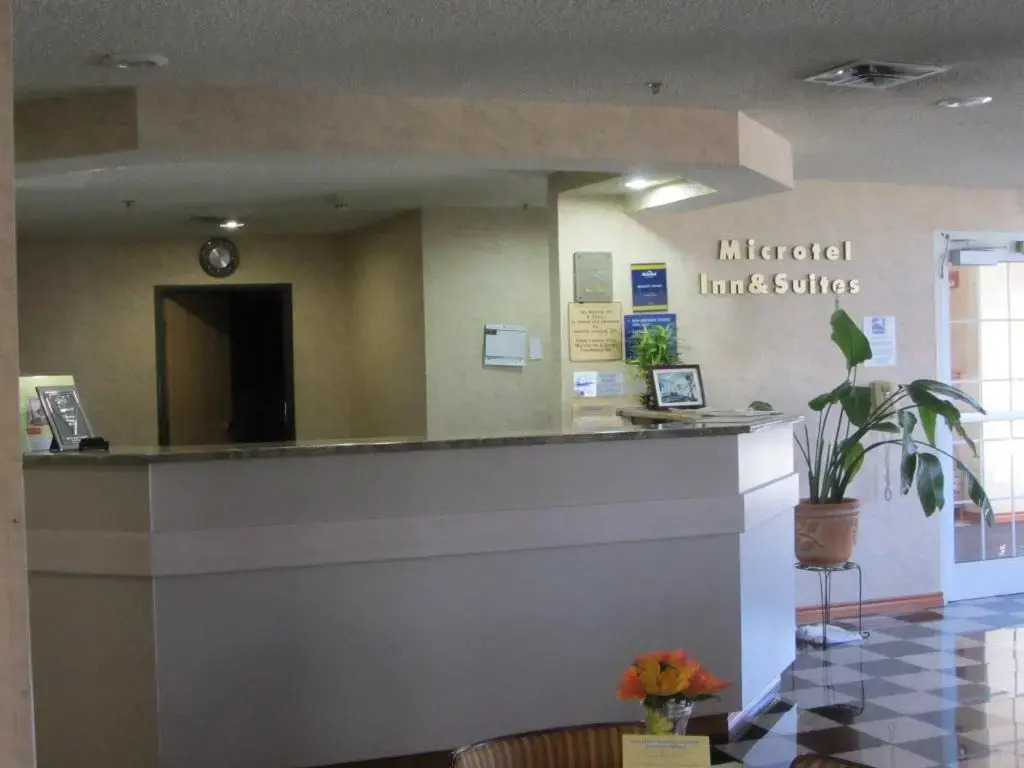 Microtel Inn & Suites by Wyndham Amarillo