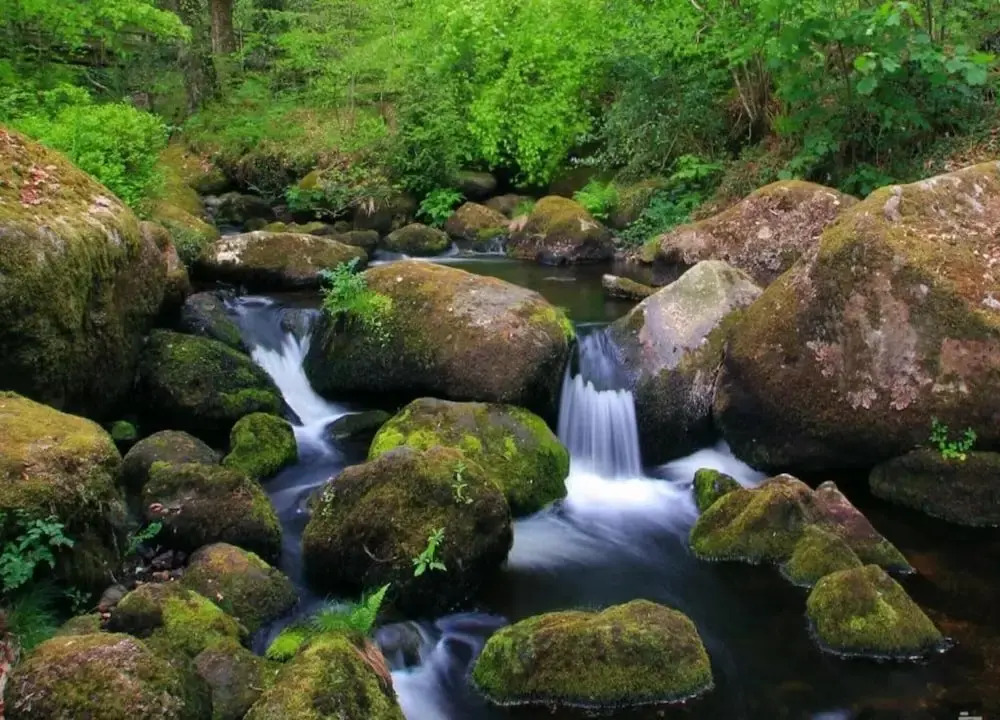 Cottage Near Dartmoor With Hot Tub