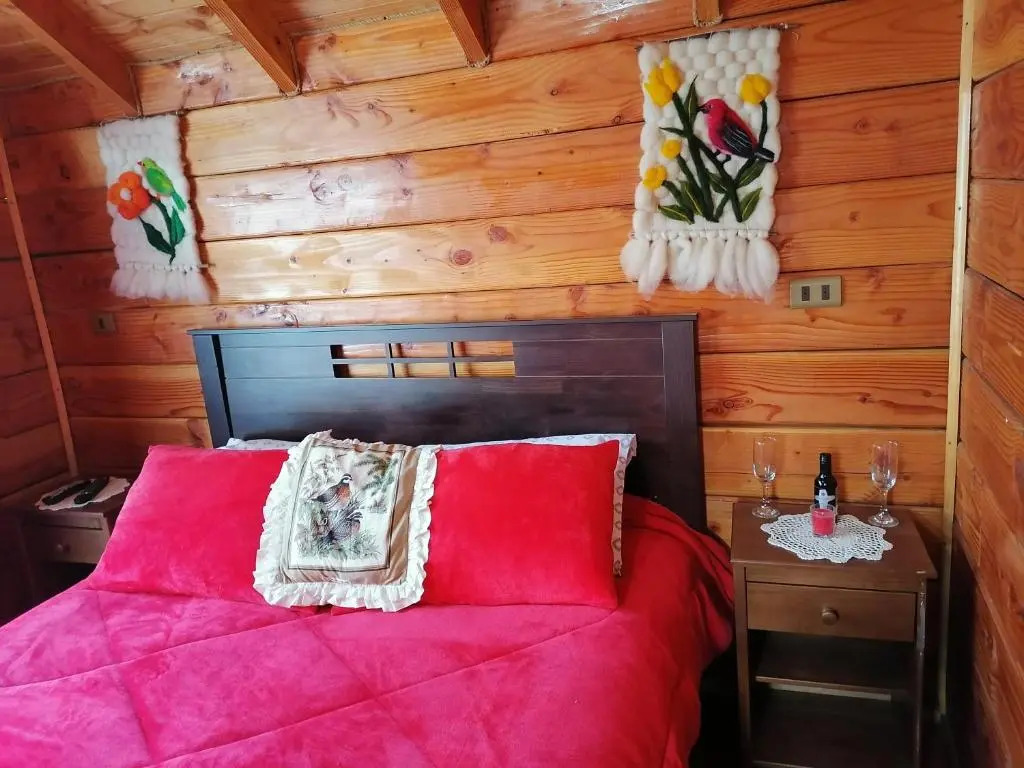 Cabañas El Diuco en Coñaripe 4