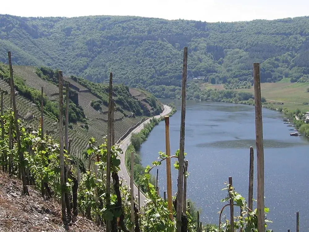 Gästehaus Classisches Weingut Hoffranzen