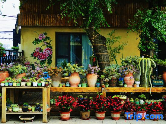Nalati Yunzhunyue Homestay (Nalati Grassland Branch)