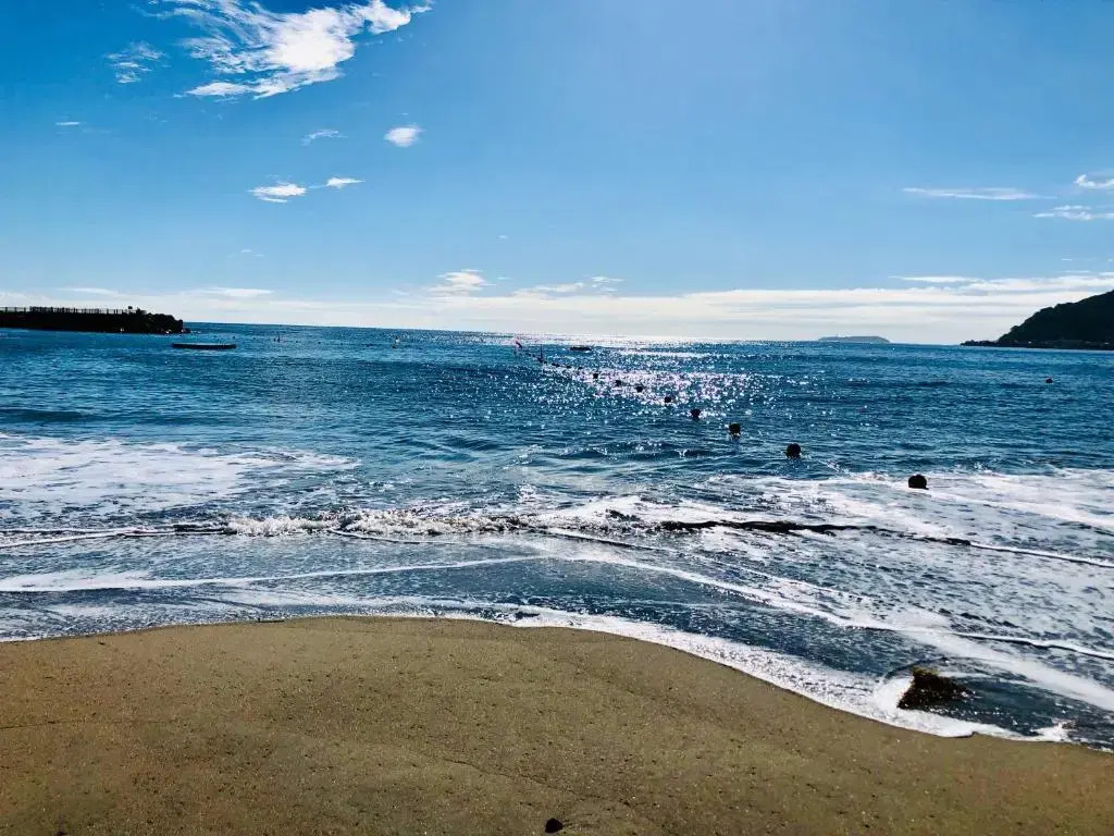 Izu Kansya