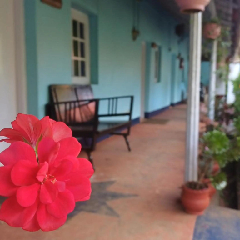 British Cliff Club Resort