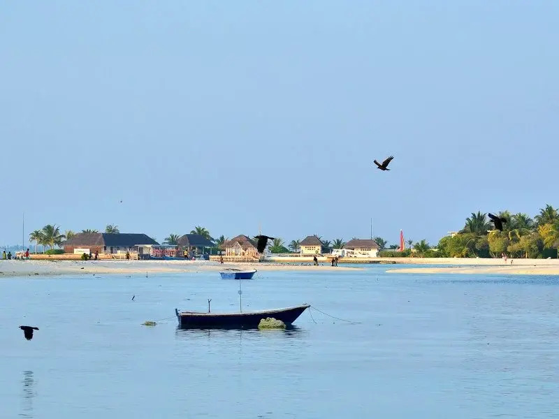 Madagali Inn
