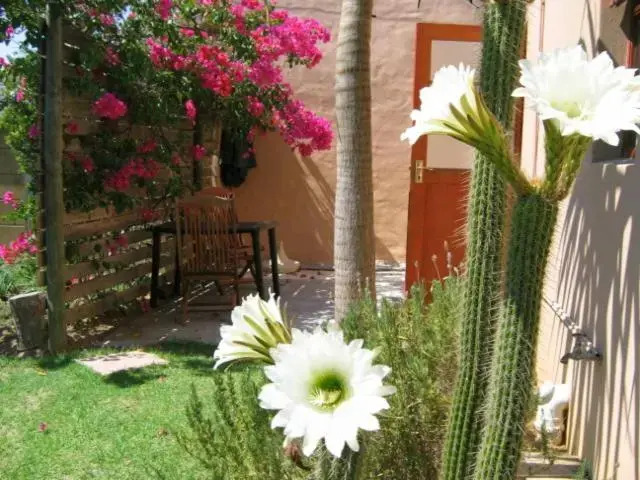 Malleson Garden Cottage