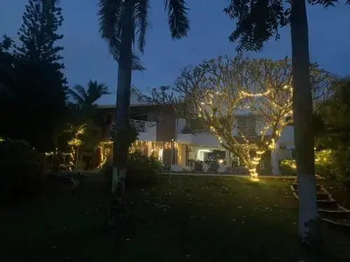 Tropical Garden