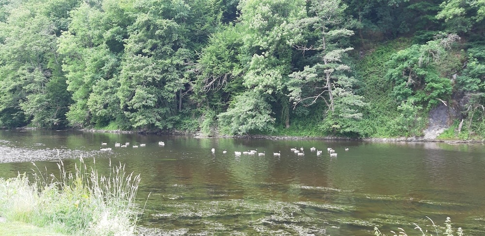 Auberge en Ardenne