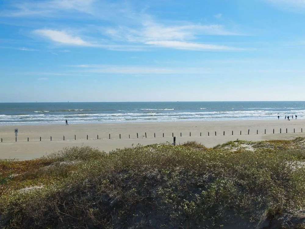 Serene Seashell 508bh 2 Bedrooms 2 Bathrooms Condo