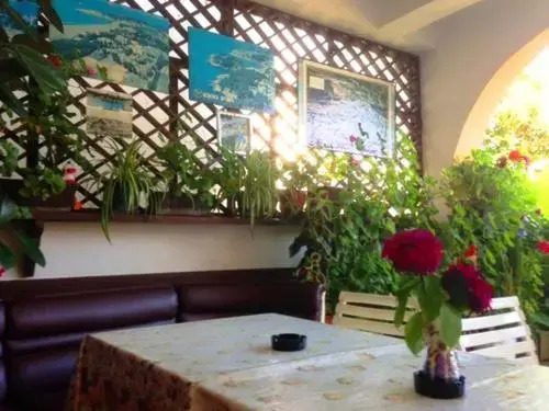 Studio Rooms Moncherie