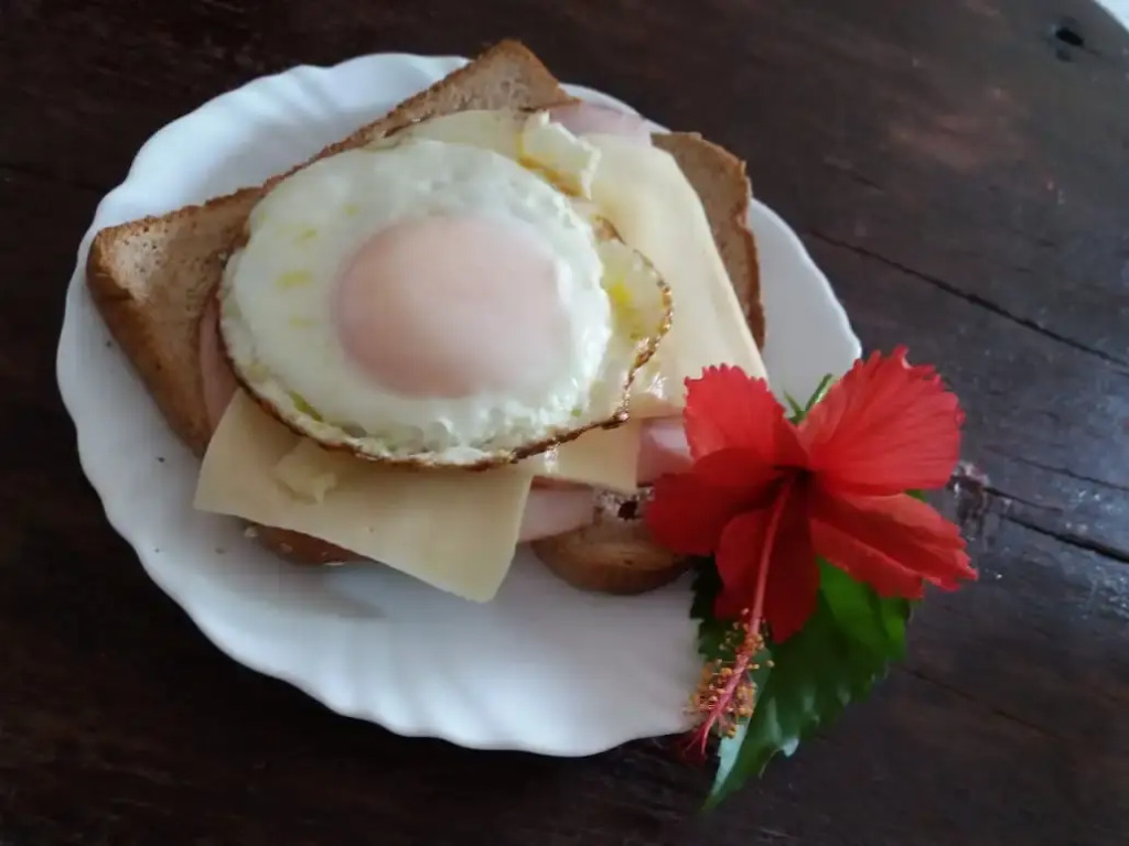 Pousada Unaí - Casa Flor