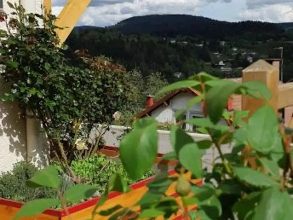 Gite Gérardmer, 2 pièces, 2 personnes - FR-1-589-52
