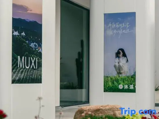 Muxi · MUXI Bamboo Sea Swimming Pool Designer Vacation Boutique Stay