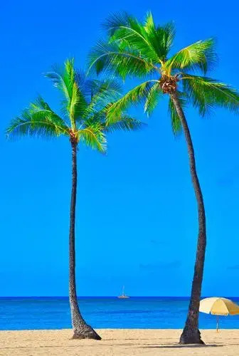Gone 2 Florida Vacation Homes