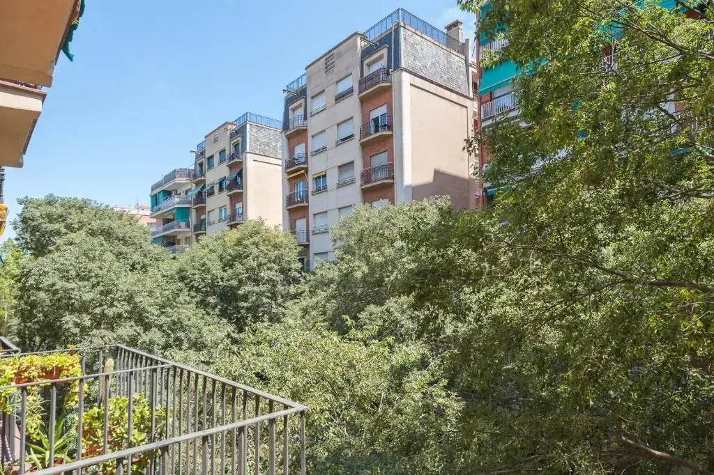Eixample15