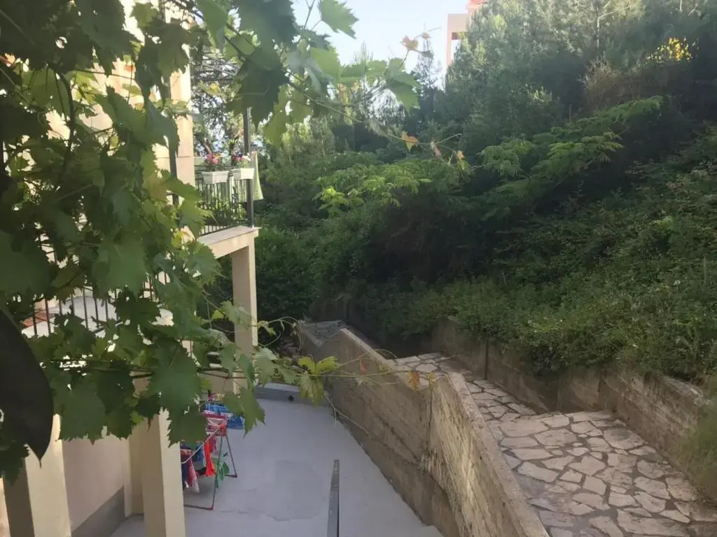 Apartments Petković