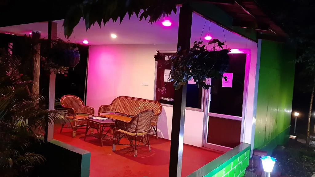 The Midway Jungle Resort