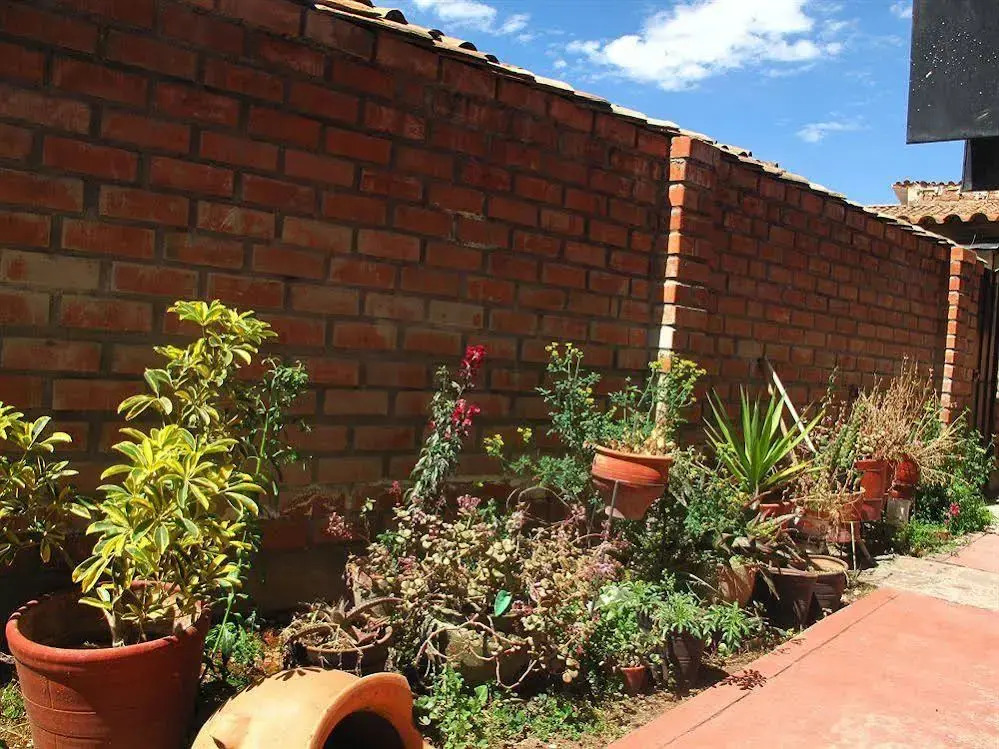 Girasoles