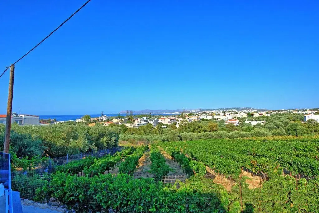Villa Popi - modern villa with private pool by PosarelliVillas
