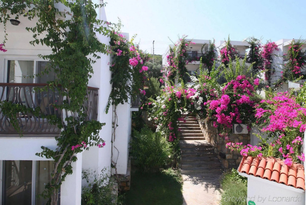 Mi Casa Beach Hotel
