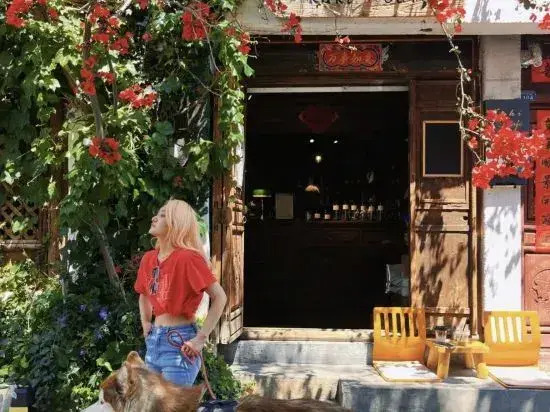 Dali Ancient Town Leisure House B&B