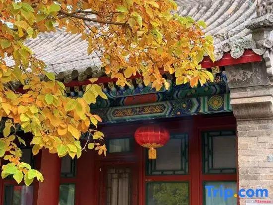 Manxin Mansion, a Traditional Siheyuan Courtyard by Houhai and Drum Tower in Beijing