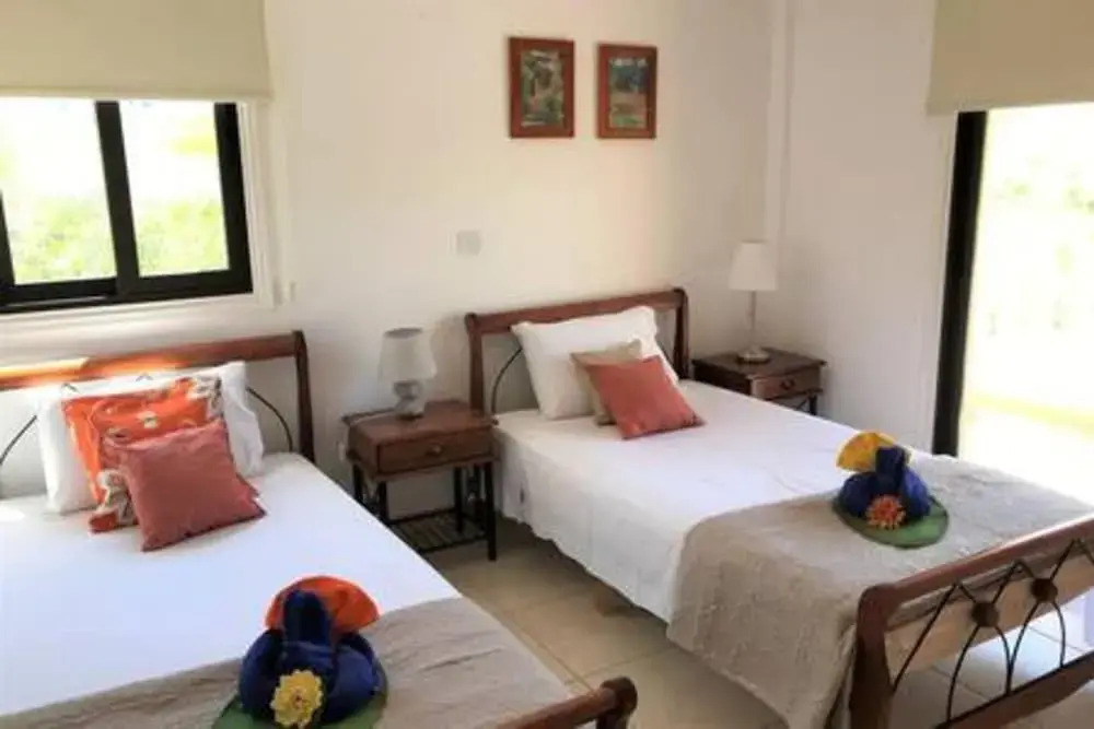 Melina Family Villa With Pool and Wifi in Protaras