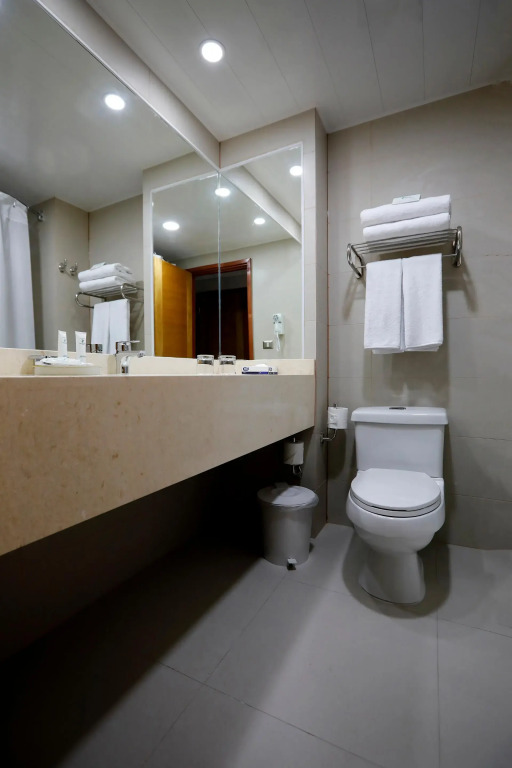 Hotel Diego de Almagro Viña del Mar