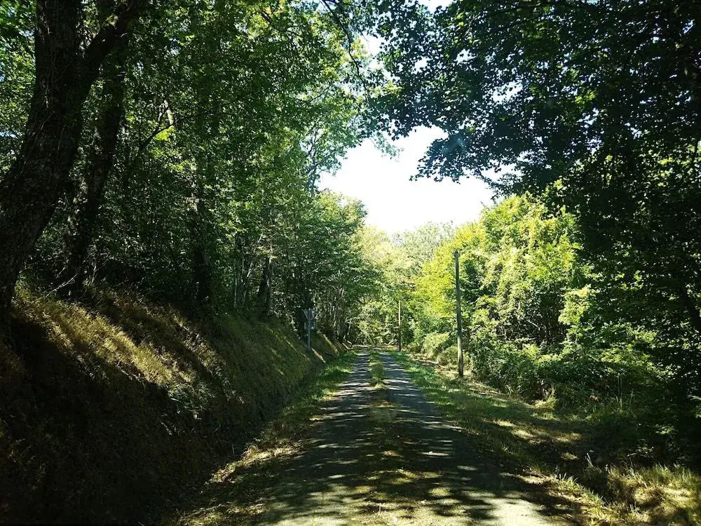 les bulles perchées de lartigue