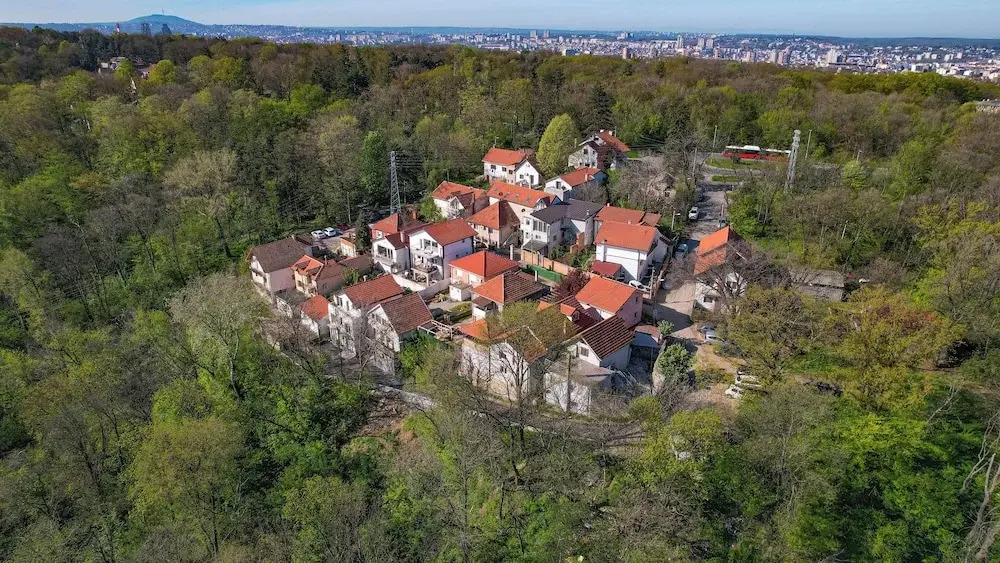 VP Apartment - A Forest Retreat in the Heart of the City!