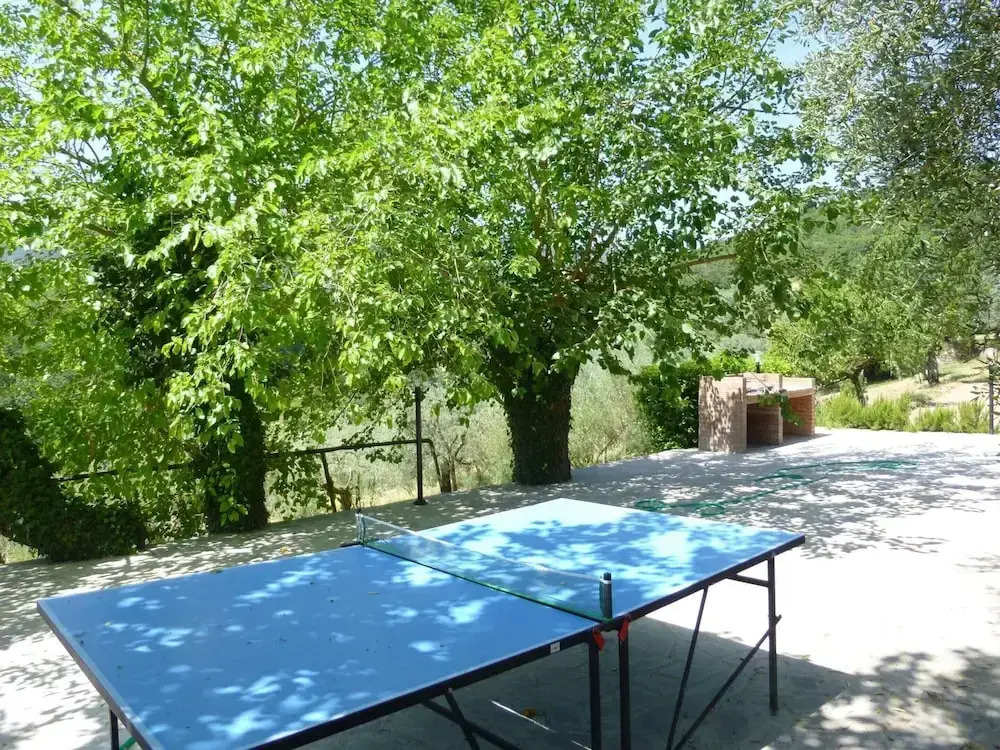 Lovely estate not far from Florence with olives trees