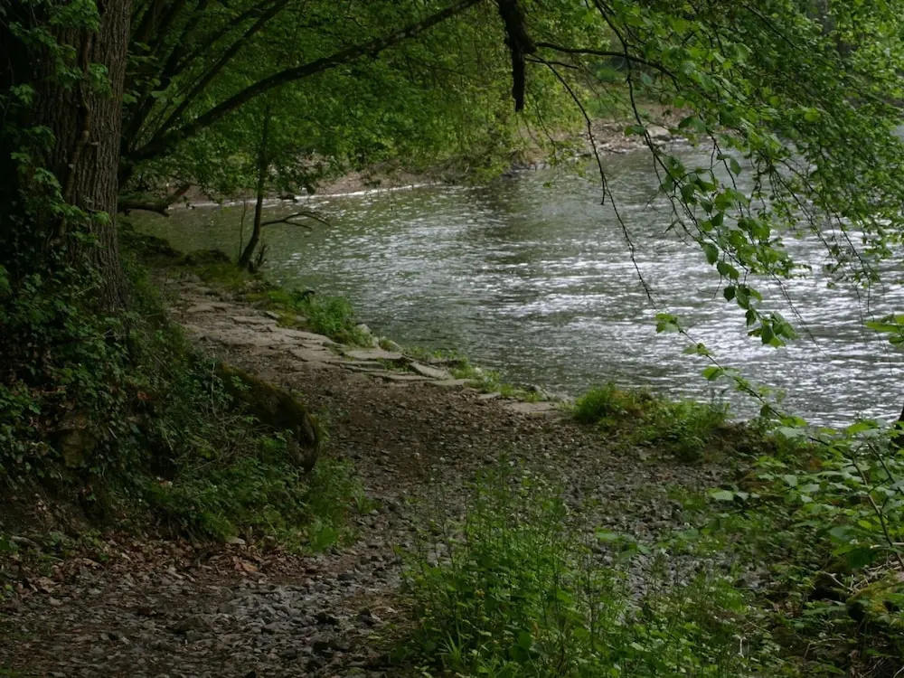 Cozy Chalet in Ardennes near Ourthe River & City of Durbuy