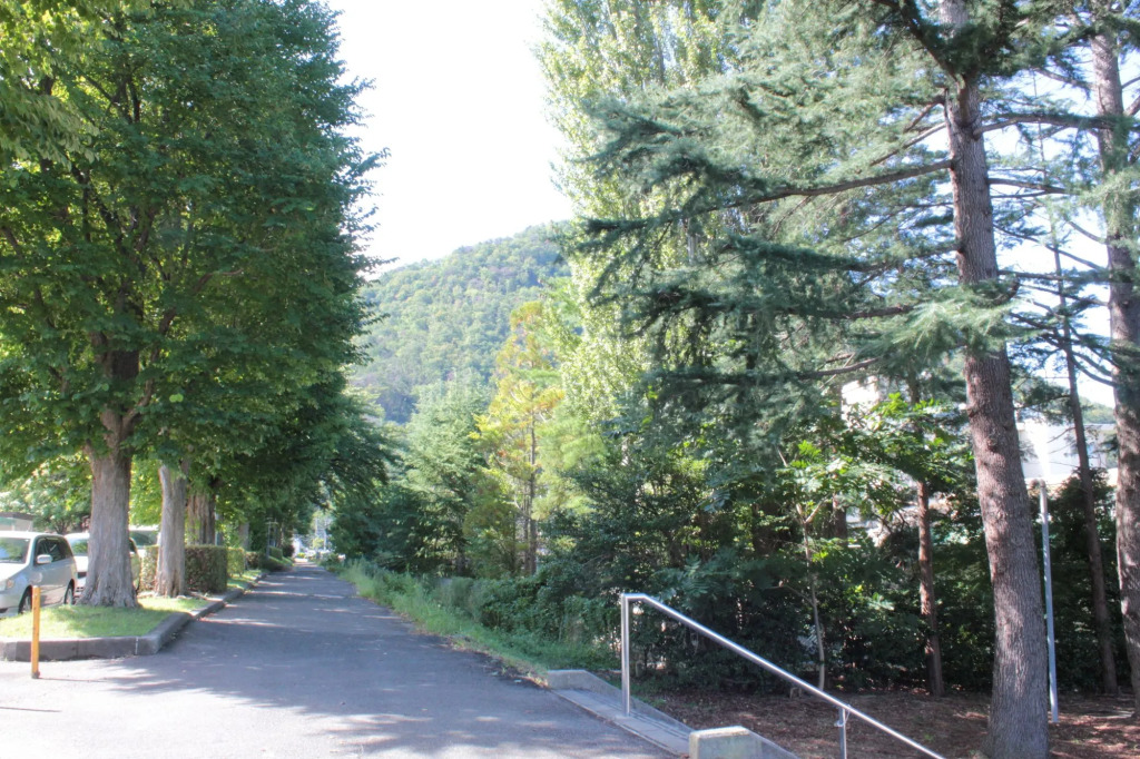 Akoya Kaikan