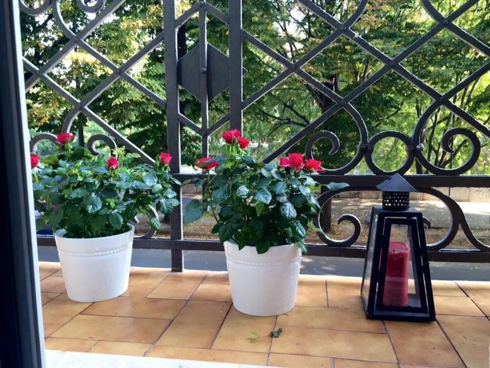Maison Dora 10