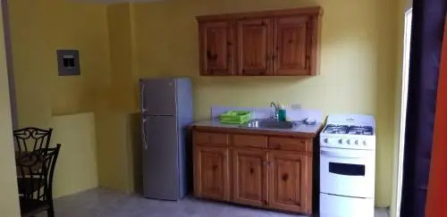 Wizzy Apartment