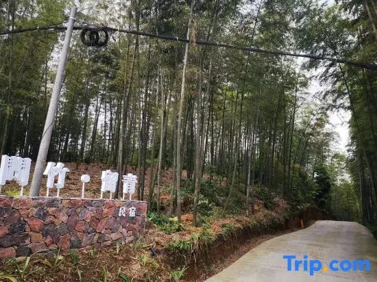 Southern Sichuan Bamboo Sea Wenzhu·Liuqing Homestay