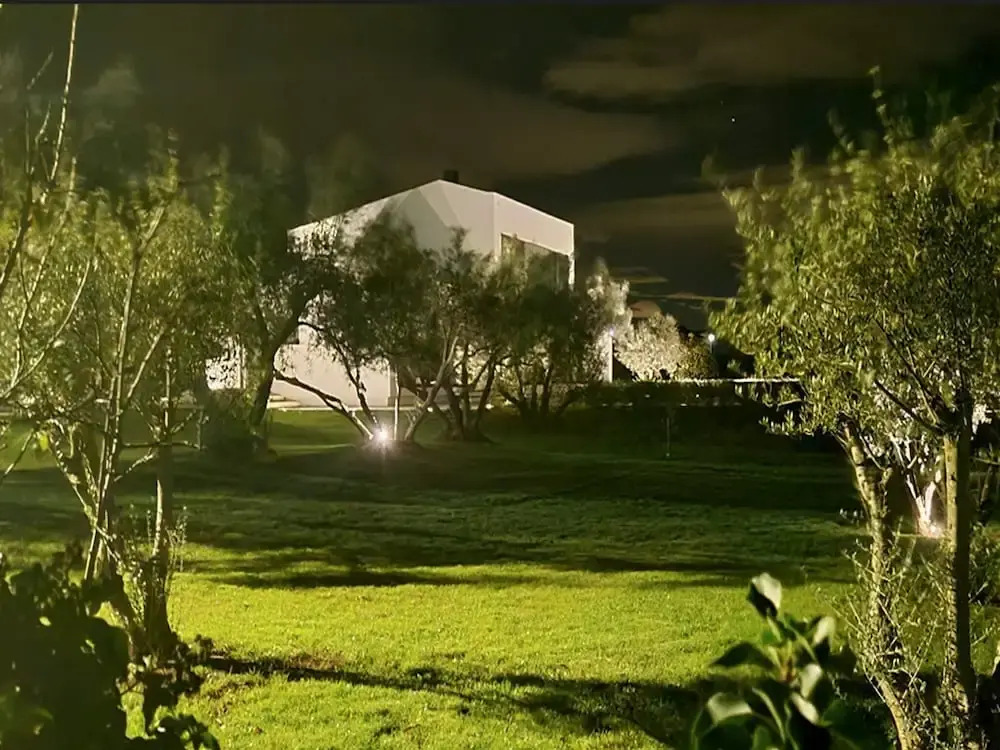 Martincic Residence