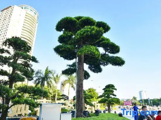 Beihai High Speed Rail Fucheng Suite Apartment