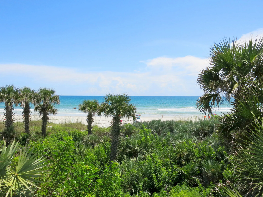 New Smyrna Waves MOD Collection by Sonesta