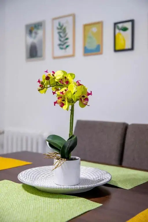 MARIA Residence Arad