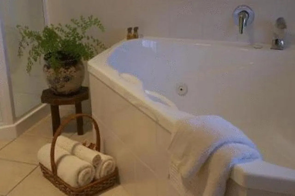 Misty Peaks Guesthouse
