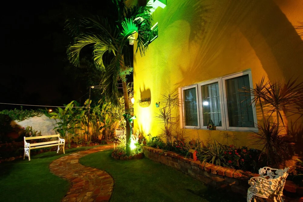 Cattleya's Green Suite Exquisite