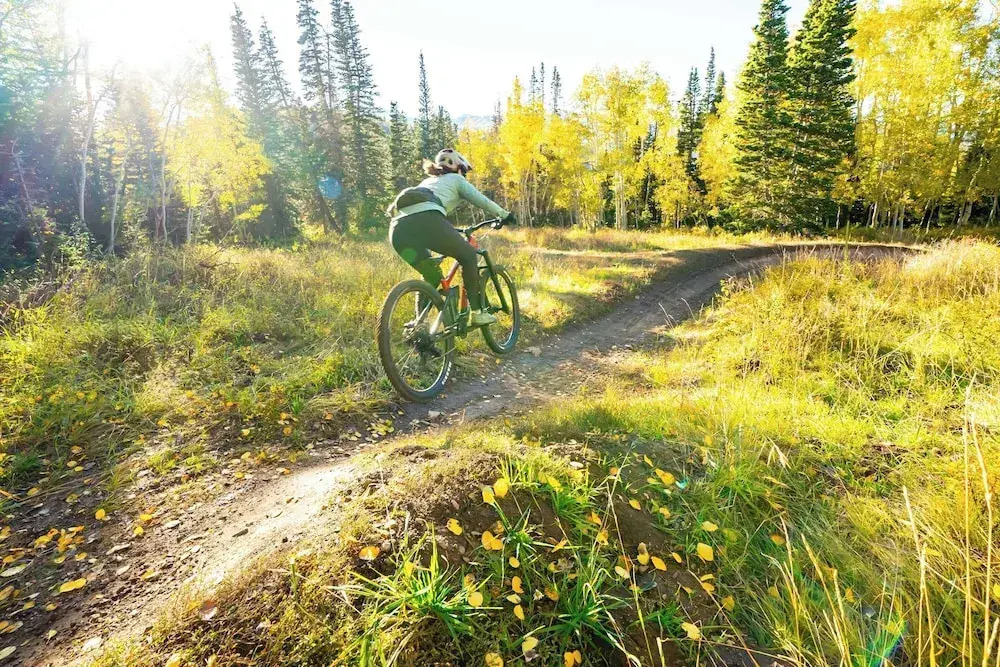 Residences At Grand Hyatt Deer Valley